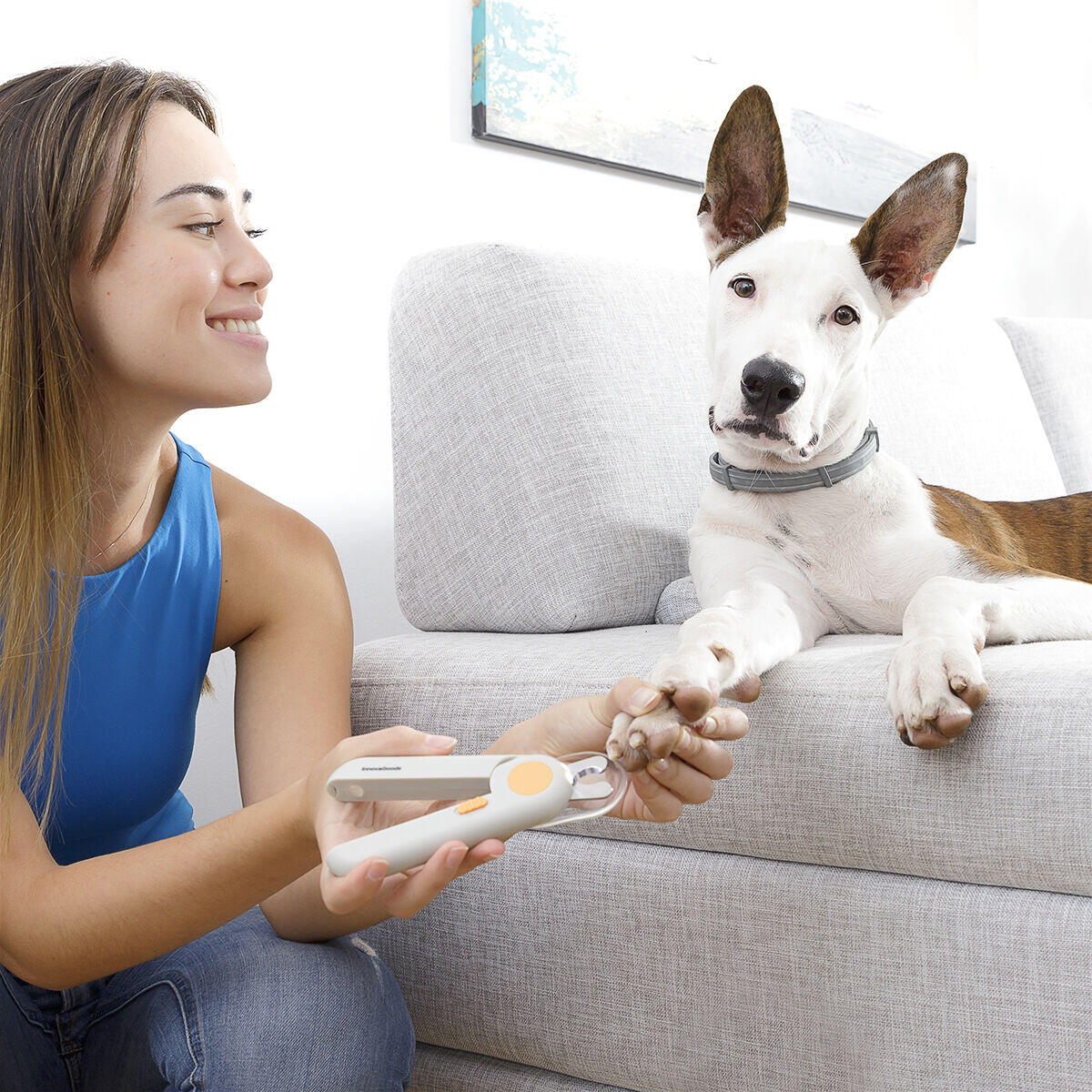 con LED para Mascotas Clipet InnovaGoods
