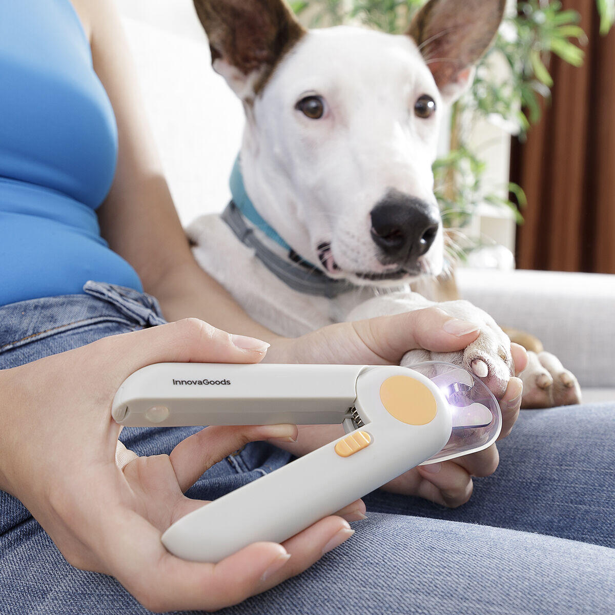 con LED para Mascotas Clipet InnovaGoods