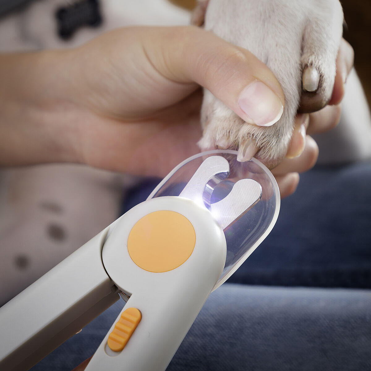 con LED para Mascotas Clipet InnovaGoods